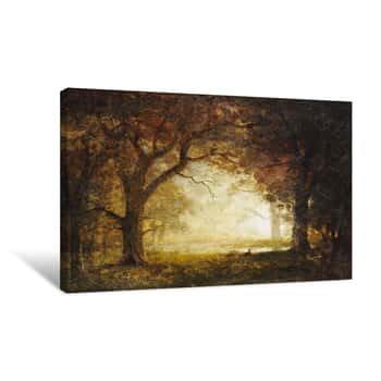 Image of Forest Sunrise Canvas Print