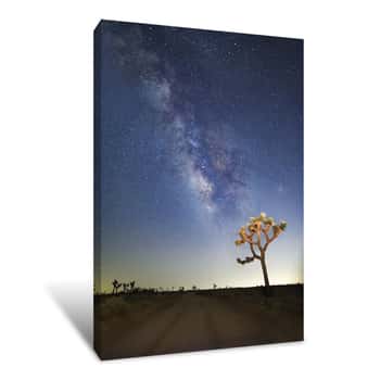 Image of Joshua Tree Milkyway Canvas Print