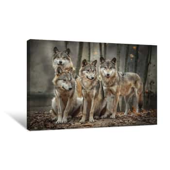 Image of A Pack Of Four Wolves (Canis Lupus) In The Leaves Canvas Print