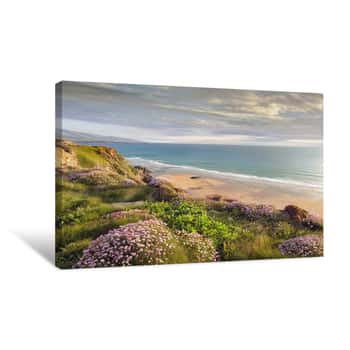 Image of Summer Rules Canvas Print