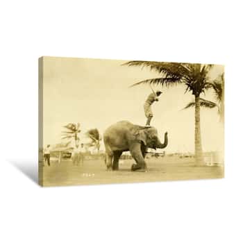 Image of Golfer Standing on Rosie the Elephant Canvas Print