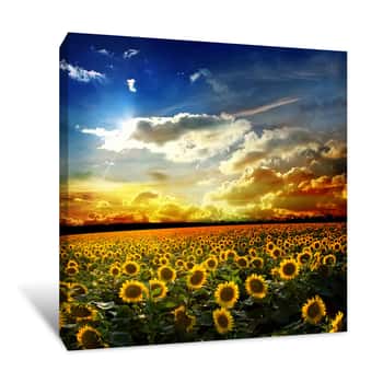 Image of Golden Sunflowers Canvas Print