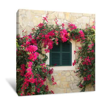 Image of Tuscan Window With Flowers Canvas Print