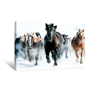 Image of Galloping Winter Horses Canvas Print