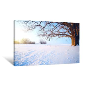 Image of Great Winter Tree Canvas Print