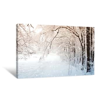 Image of Snow Covered Trail Canvas Print