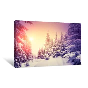 Image of Snow Filled Forest Canvas Print