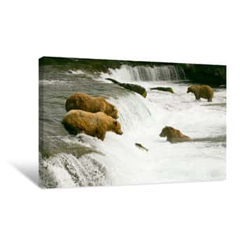 Image of Grizzly Bear Falls Canvas Print