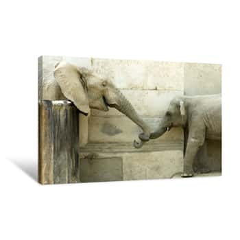 Image of Holding Trunks Canvas Print