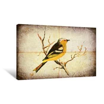 Image of The Finch Canvas Print
