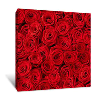 Image of Red Roses Canvas Print
