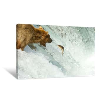 Image of Master Fishing Bear Canvas Print