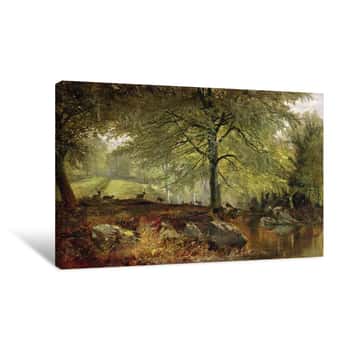 Image of Deer in a Wood Canvas Print