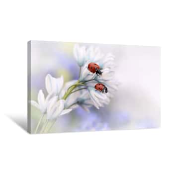 Image of Ladybirds Canvas Print