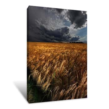 Image of Stormy Sky Over A Wheat Field Canvas Print
