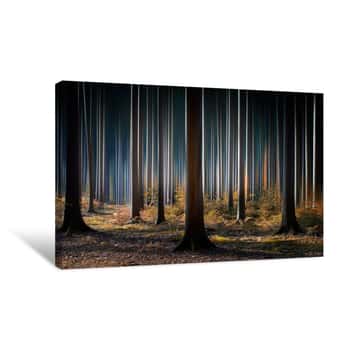 Image of Mystic Wood Forest Canvas Print
