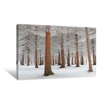 Image of Forest In White Canvas Print