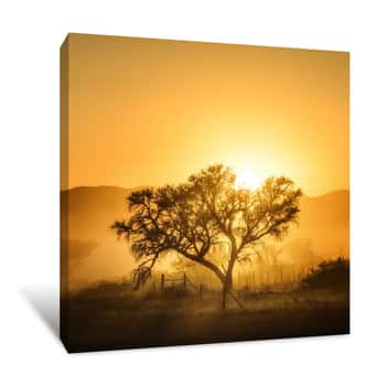 Image of Golden African Sunrise Canvas Print