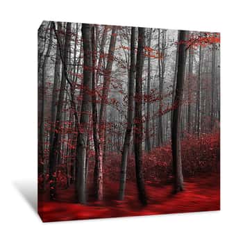 Image of Trees With Red Leaves Canvas Print