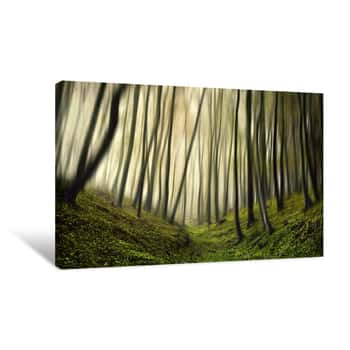 Image of Forest With Green Hills Canvas Print