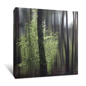 Image of Tree Trunk Covered in Leaves Canvas Print
