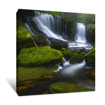 Image of Forest Waterfall Canvas Print