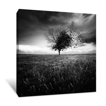 Image of Black and White Tree Filled With Birds Canvas Print