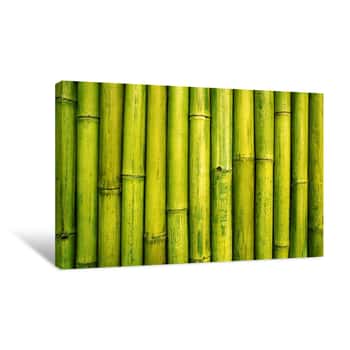 Image of Bamboo Fence Canvas Print