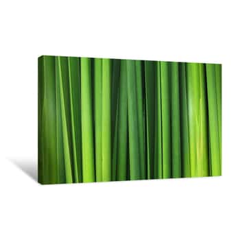 Image of Nature\'s Green Texture Canvas Print
