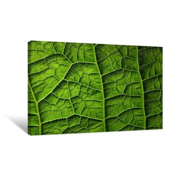 Image of Textured Leaf Canvas Print