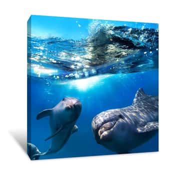 Image of Playful Dolphins Canvas Print
