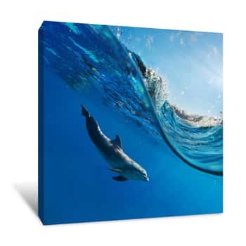 Image of Dolphin In The Waves Canvas Print