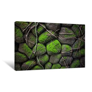 Image of Mossy Stones Canvas Print