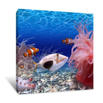 Image of Coral Reef Panorama Canvas Print