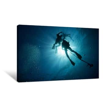 Image of Free Diving Canvas Print