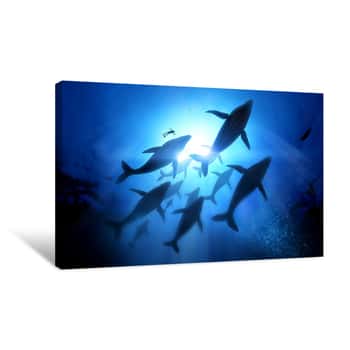 Image of Pod of Whales Canvas Print