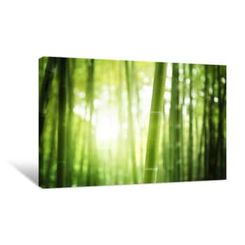 Image of Green Bamboo Trees Canvas Print