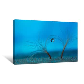 Image of Water Droplet Canvas Print