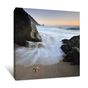 Image of Rocky Beach With Starfish Canvas Print