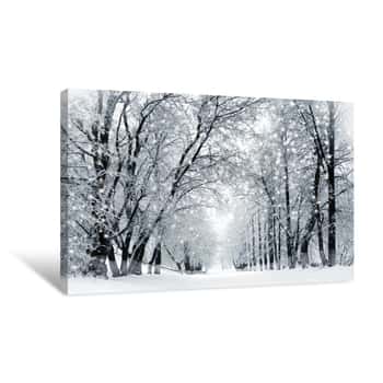 Image of Winter Scenery, Snowstorm In Park Canvas Print