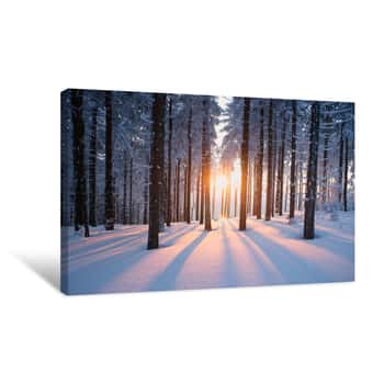 Image of Sunset In The Wood In Winter Period Canvas Print