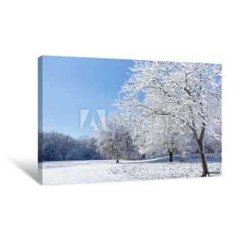 Image of Snowy Winter Trees Canvas Print