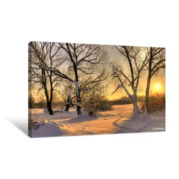 Image of Beautiful Winter Sunset With Trees In The Snow Canvas Print