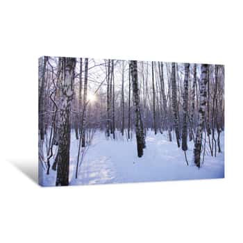 Image of Cold Winter Canvas Print