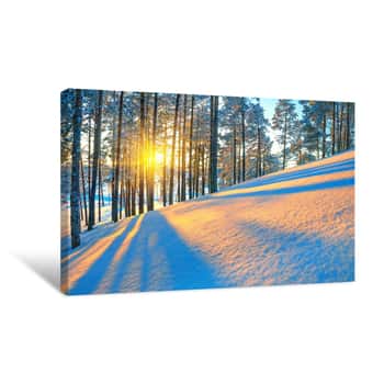 Image of Sunset In Winter Forest Canvas Print
