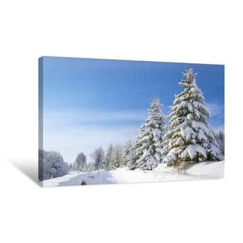 Image of Winter\'s Tale Canvas Print