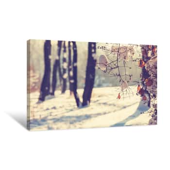 Image of Winter in the Woods Canvas Print