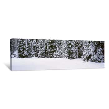Image of Winter Snowstorm In The Lake Tahoe Area, California Canvas Print
