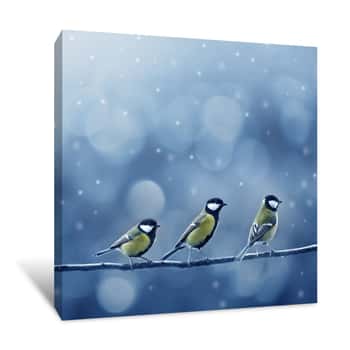 Image of Three Titmouse Birds In Winter Canvas Print