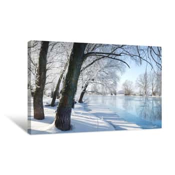 Image of Winter Canvas Print